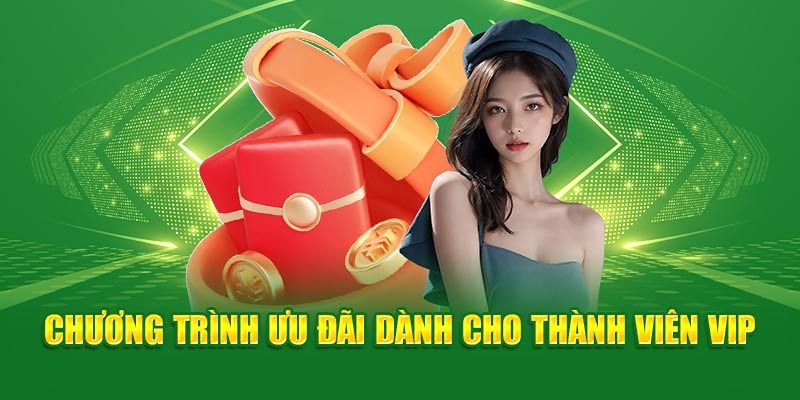 Thành viên VIP luôn có sự kiện ưu đãi độc quyền